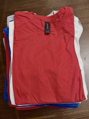 Bulk Blank T-Shirts Lot – Gildan Softstyle 64000 – 80 Units – Mixed Sizes – New