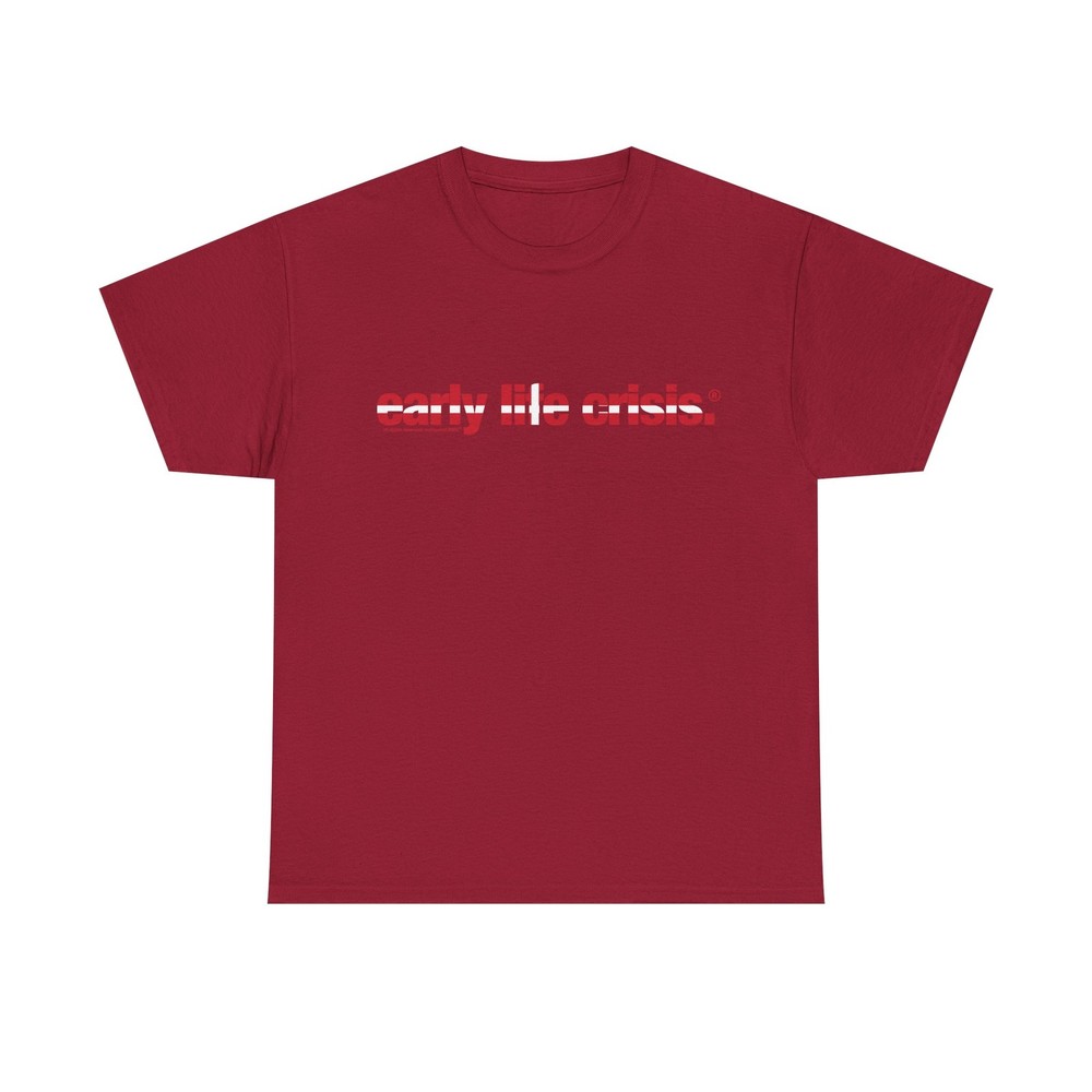 Nettspend Early Life Crisis EU Flags Tour Merch T-Shirts Tees All Colors & Sizes