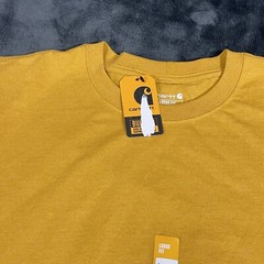 Carhartt Loose Fit Heavyweight Long-Sleeve Logo Sleeve Graphic, Size L TK0231-M