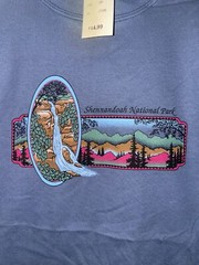 90s Vintage Shenandoah National Park Mountain Blue Nature Shirt Tee 1990s VTG M