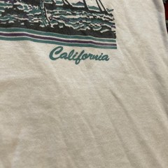 Vintage 90s California Tshirt L Palm Tree Nature Beach Single Stitch Teal Purple