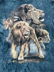 The Mountain Lion Pack Collage Tye Dye Navy Shirt Men Large