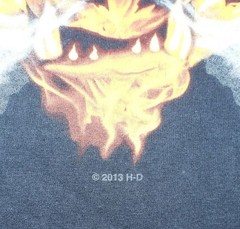 2013 Harley-Davidson Motorcycles Flame Hog Destination Tacoma WA T-Shirt Large