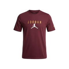 Nike Jordan Men’s (Cherrywood Red) Air Crew neck T-Shirt DM1462-680