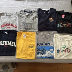Lot Of 8 T-Shirts Vacation Destination Caribbean Embroidered Comfy SZ Large Bulk