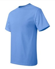 Hanes 5250 4XL 5XL Authentic Short Sleeve Men’s Cotton T-Shirt Carolina Blue