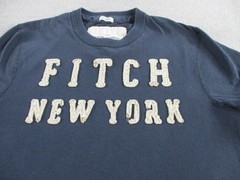 Abercrombie Fitch Shirt Mens Large Blue Spellout Logo SLIM Tee Muscle Fit Y2K
