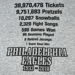 Philadelphia Eagles 1933-2018 Priceless T Shirt Size Large Gildan Hammer Gray