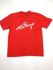 Turkiye T Shirt Mens Small Red Turkey Turkish Flag National Team Moon Pride EUC