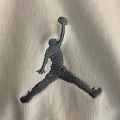 Jordan Large Men’s Half Sleeve Two Tone Crewneck Shirt