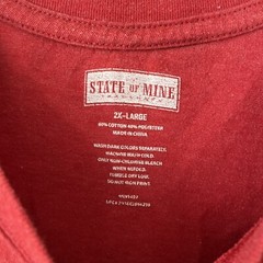 USA Letter Print with Flag Men’s 2XL Red State of Mine T- Shirt