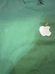 APPLE Employee T-Shirt~AMERICAN APPAREL USA~ Apple Green~TECH COMPANY~Adult XL