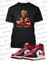 King J Shoe Collector Graphic Sneaker Tee Shirt J1 Mid Toe Big Tall Small Sport