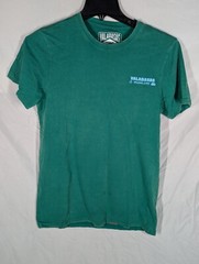 Mens VALABASAS VINTAGE WELLNESS T Shirt Green Size XSmall
