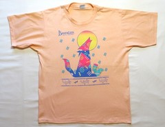 1980’s Vintage T Shirt Bandelier National Park Nature Scene Art Logo Cal Cru Tag