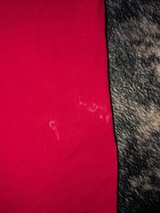 Vintage Ivy Crew Classics Men’s Red Cotton Knit Crew Neck Pocket Logo Tee M