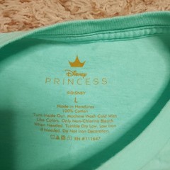 Disney Princess Aladdin Mens L Short Sleeve Crewneck Shirt