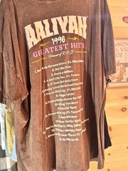 Aaliyah 1996 Greatest Hits Men’s 2XL Brown Graphic Print Double-Sided Crew Tee