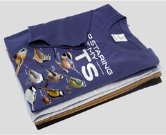 Funny Stop starting at my tits T-shirt double meaning birds humorous tee