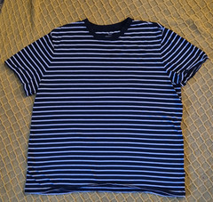GAP Everyday Soft Men’s Blue & White Striped Crewneck Cotton T-Shirt 2XL