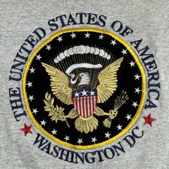 Delta United States of America Washington DC T Shirt Mens Large Gray Logo Cotton