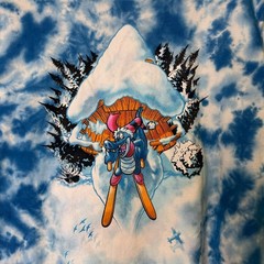 Vintage 90’s Disney Blizzard Beach T-shirt All Over Print AOP Summit Plummet
