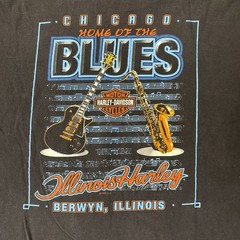 Vintage Harley Davidson Chicago Home of the Blues T Shirt Holoubek Large USA