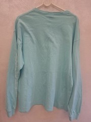 Arizona AZ Graphic T-Shirt Adult Large Aqua Blue Delta Pro Weight Cotton