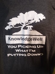 KnowledgeWell YOU PICKING UP WHAT I’M PUTTING DOWN? T SHIRT GILDEN XL