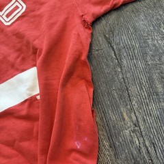 True Vintage 70s Champion Blue Bar Brodhead Red Cardinal Gym PE Tee Shirt