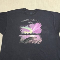 Aurora Borealis Alaska Shirt Mens 2XL Black Northern Lights Fruit of the Loom