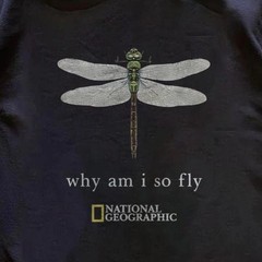Vintage National Geographic Why Am I So Fly Tee