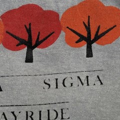 Vintage 80s Alpha-Gamma-Sigma AGS Long-Sleeve Shirt S/M 19×23 USA