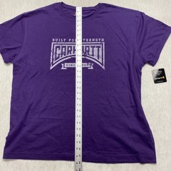 Carhartt Built for Strength T-Shirt Mens XL Purple Graphic Print Cotton Comfort
