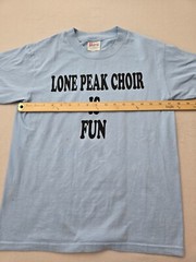 Hanes Heavyweight 50/50 Shirt Mens Small Blue Text Print Crew Neck Vintage Feel