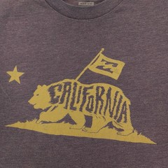 Billabong California Crew Neck Short Sleeve Graphic T Shirt Mens Size M Gray