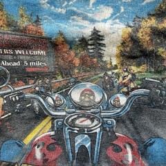 Vintage 2000’s Mens M Gray “WORK SUCKS LETS RIDE” Biker Rock Retro HDavid Tee