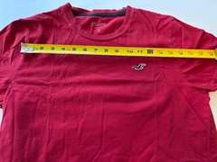 Hollister Men’s Medium Must-Have Collection Crew Neck T-Shirt 100% Cotton Red