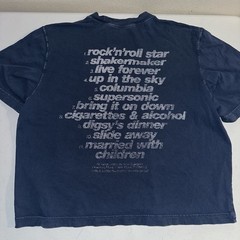Oasis Abercrombie & Fitch Cropped T Shirt Size XL Blue Boxy Double Sided