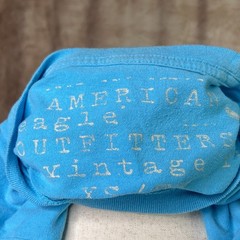 Y2K American Eagle Graphic Tee T-Shirt Blue Panda Bicycle Short Sleeve Hipster