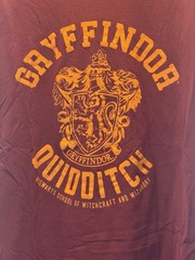 Harry Potter Gryffindor Quidditch T-Shirt Mens Size XXL, 2XL Burgundy Hogwarts