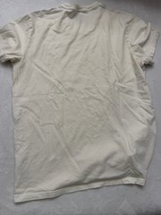Hollister Must Have Collection Mens White V Neck T Shirt Size Large 100% Cotton