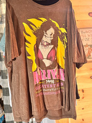 Aaliyah 1996 Greatest Hits Men’s 2XL Brown Graphic Print Double-Sided Crew Tee