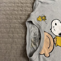 MENS PEANUTS SNOOPY CHARLIE BROWN WOODSTOCK GRAY T-SHIRT SIZE M