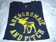 Abercrombie & Fitch Mens Muscle Fit T-Shirt Navy Yellow Logo LARGE Moose sz XXL