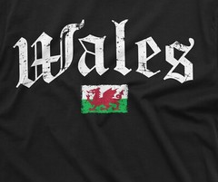 Wales Flag T-Shirt Wales National Tee Welshman Gift Ideas Patriotic Wales Shirt