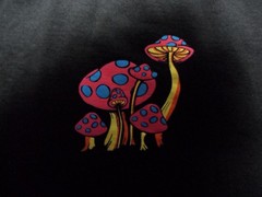 XL ALab Magic Mushrooms Wizard Shirt