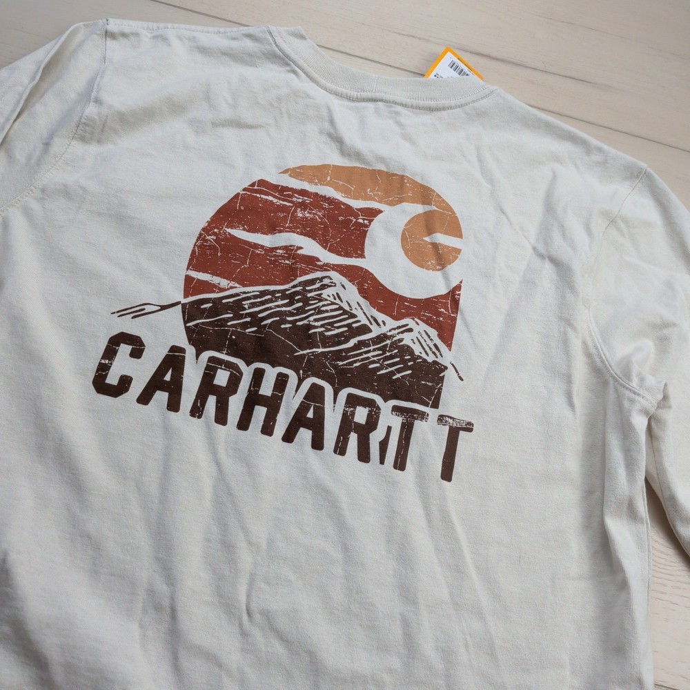 NEW Carhartt Relaxed Fit Heavyweight Long Sleeve T-Shirt Mens M Mountain Graphic