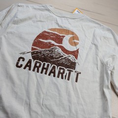 NEW Carhartt Relaxed Fit Heavyweight Long Sleeve T-Shirt Mens M Mountain Graphic