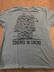 Peanuts Covered In Chicks T-Shirt Snoopy Woodstock Medium M Blue Junk Food